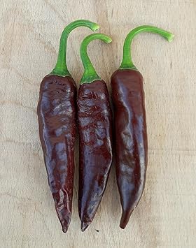 Thick Brown Chili Seeds for Planting - 100 pcs